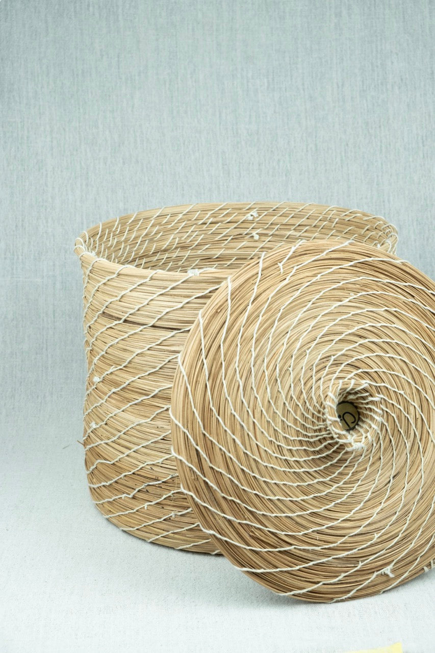 Palmora Home Container