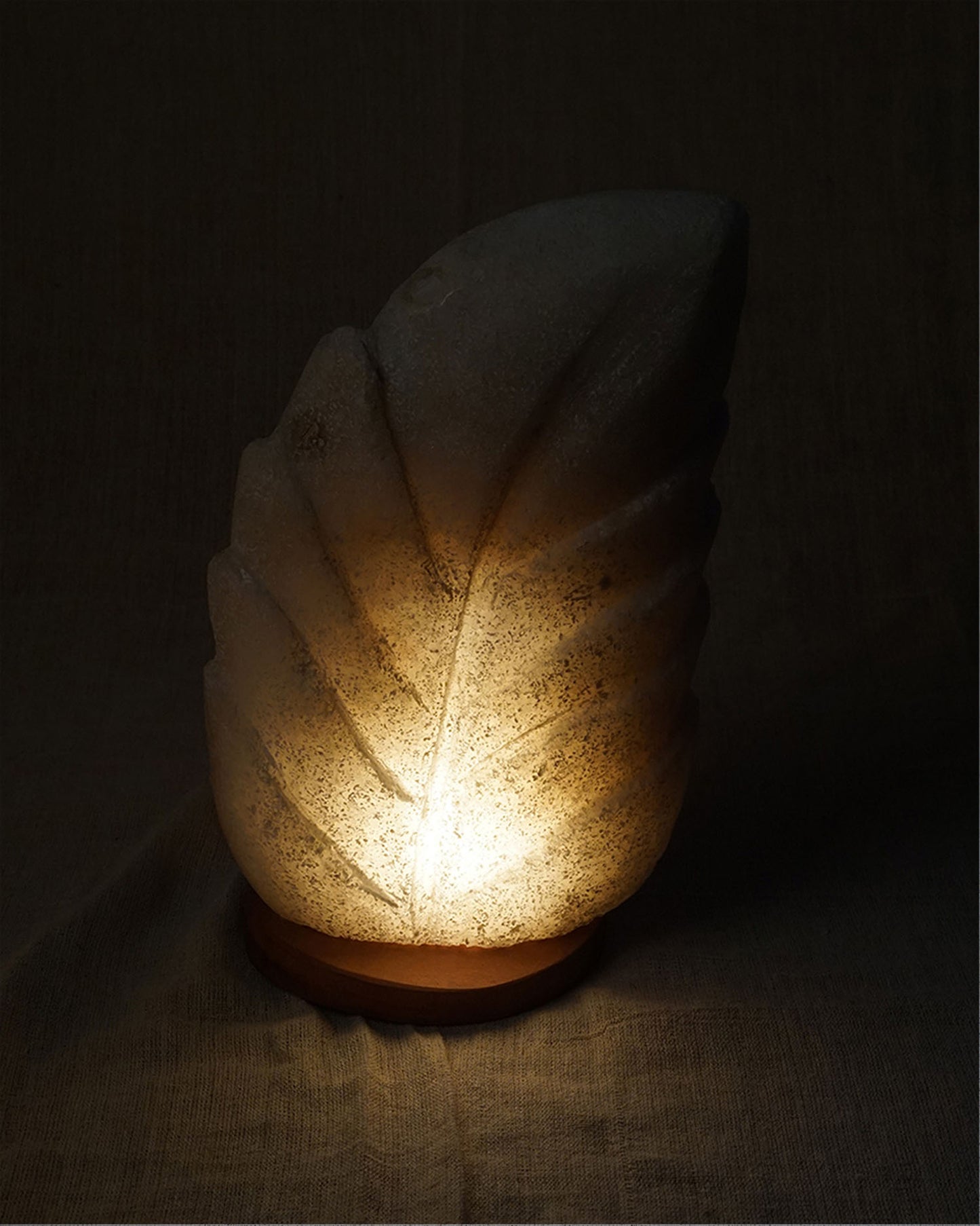 Tree Leaf Rock Salt Lamp