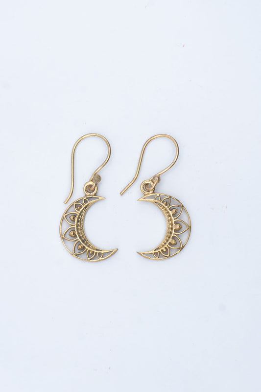Vector Dangle Earrings
