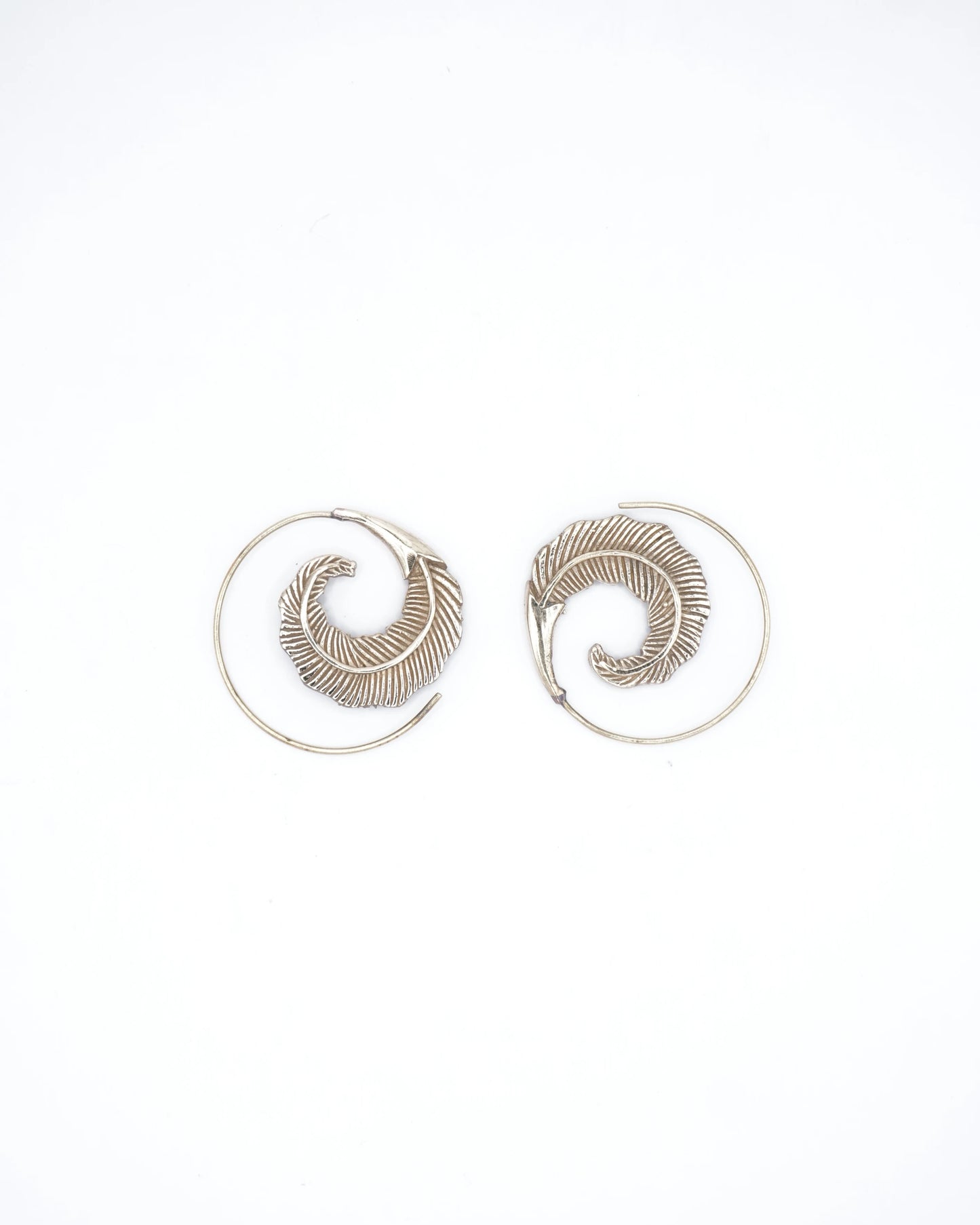 Feathers Spiral brass Earring