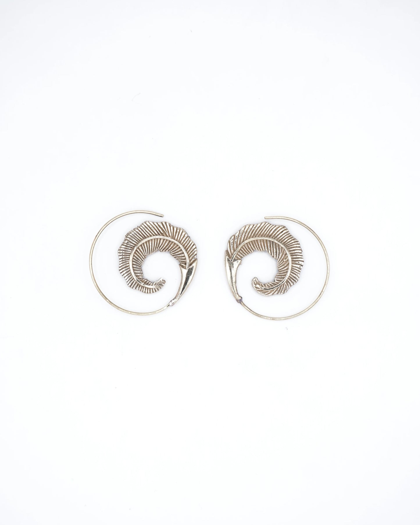 Feathers Spiral brass Earring