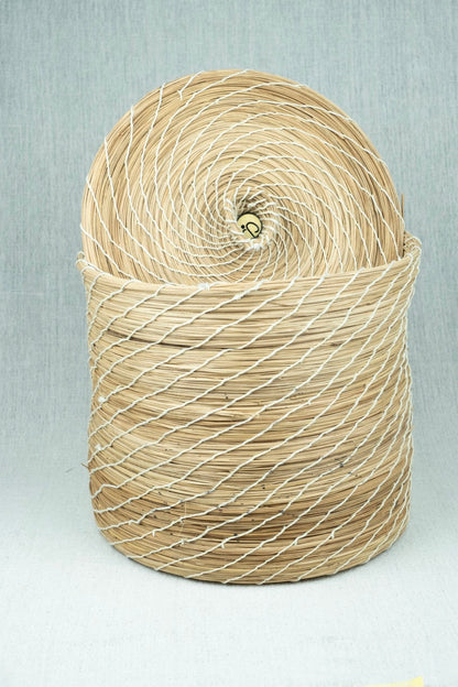 Palmora Home Container