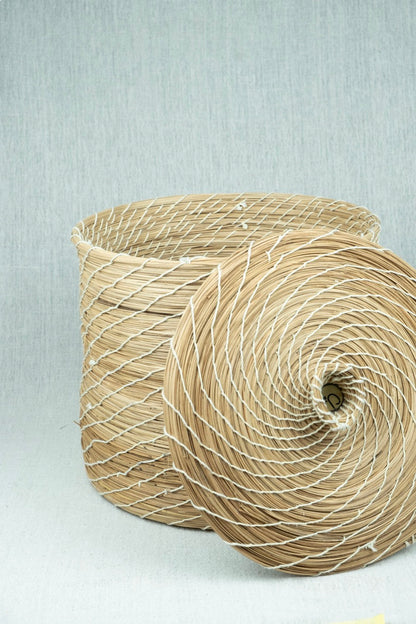 Palmora Home Container