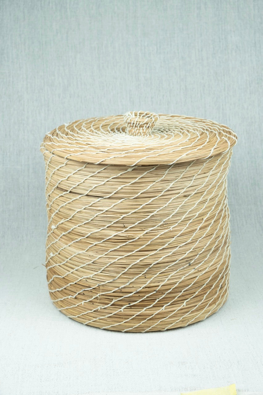 Palmora Home Container