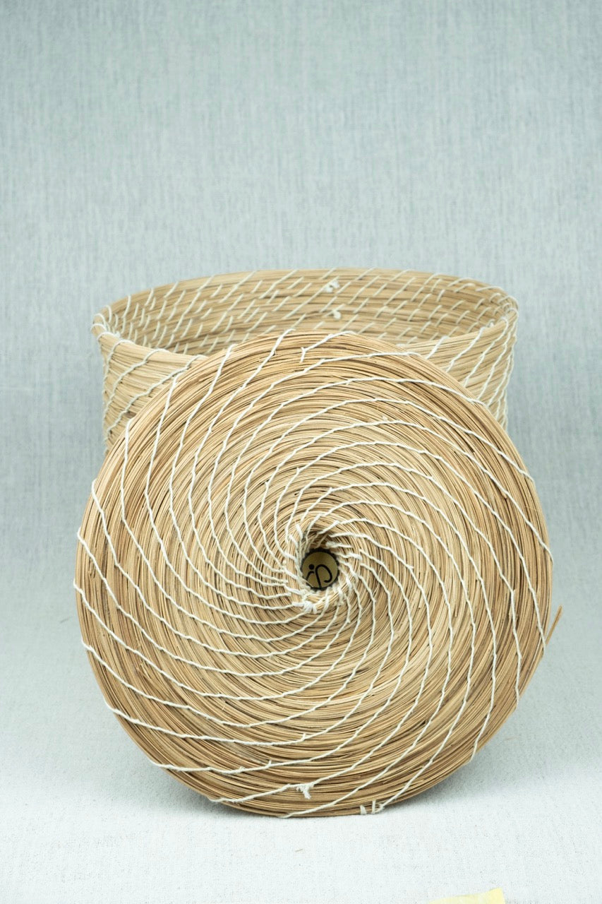 Palmora Home Container