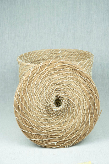 Palmora Home Container