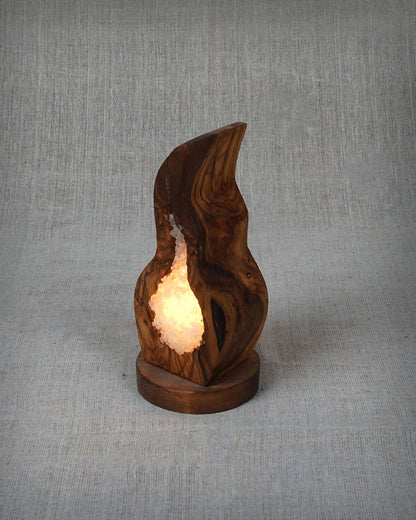 Wavy Olive Tree Wood Crystal Salt Lamp
