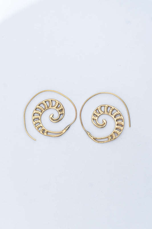 Spiral Ladder Spiral Earrings